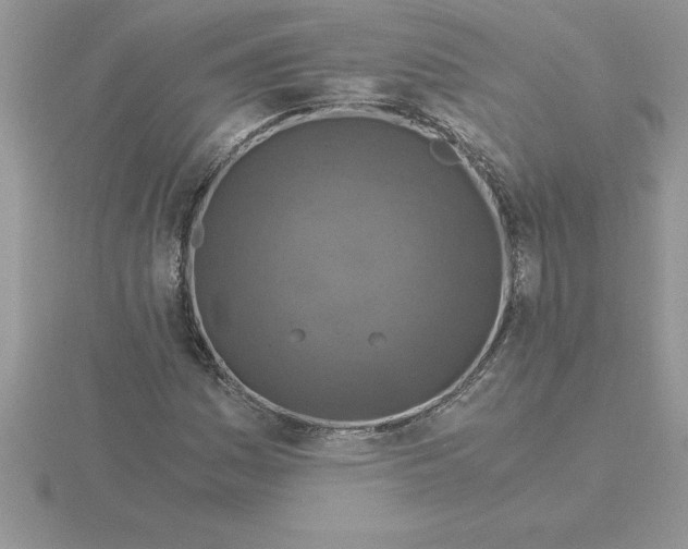 X0000115821161200912111245