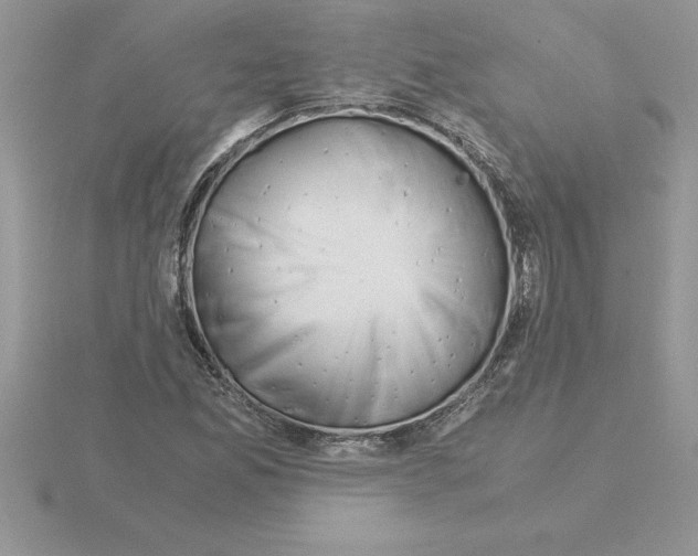 X0000115821165200912111245