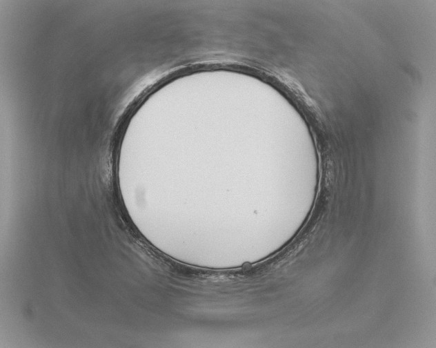 X0000115821167200912111245