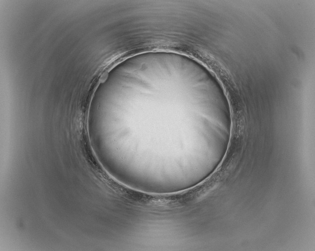 X0000115821169200912111245