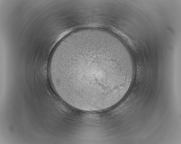 X0000115821170200912111245