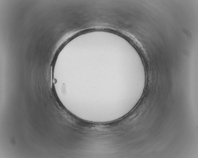 X0000115821175200912111245