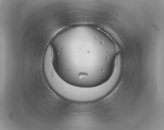 X0000115821177200912111245