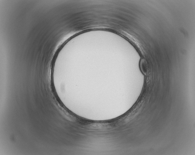 X0000115821179200912111245