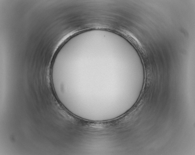 X0000115821182200912111244