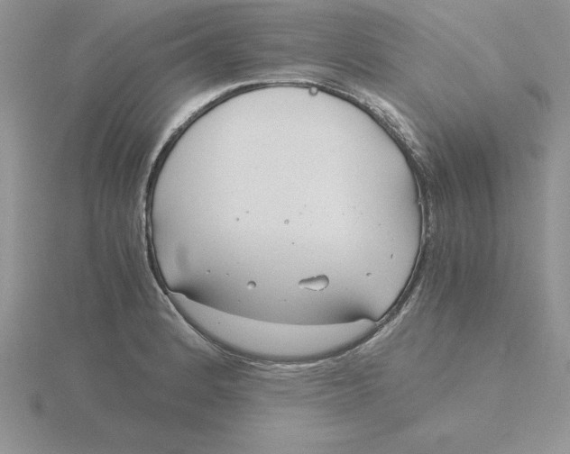 X0000115821184200912111244