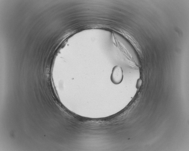 X0000115821185200912111244