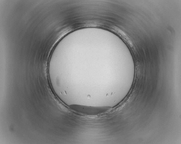 X0000115821186200912111244