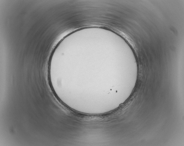 X0000115821187200912111244