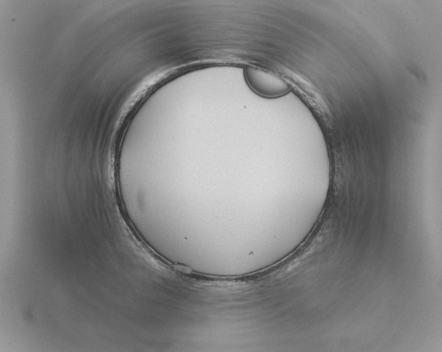 X0000115821188200912111244