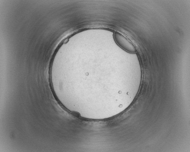 X0000115821189200912111244