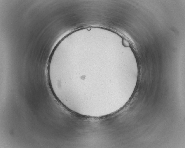 X0000115821190200912111244