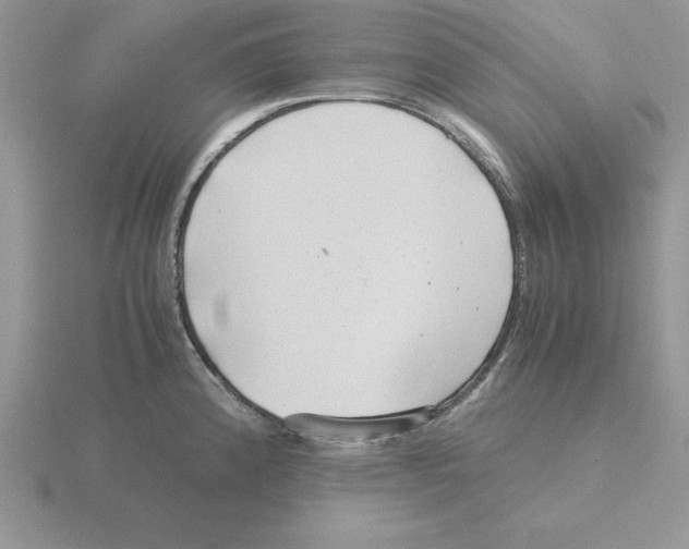 X0000115821192200912111244