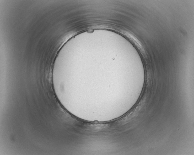 X0000115821193200912111244