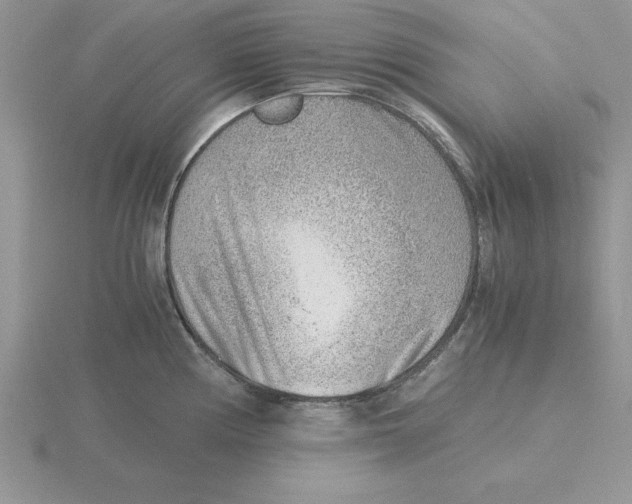 X0000115821194200912111244