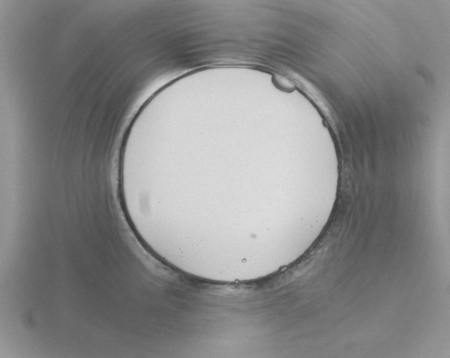 X0000115821195200912111244