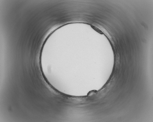 X0000115821197200912111244