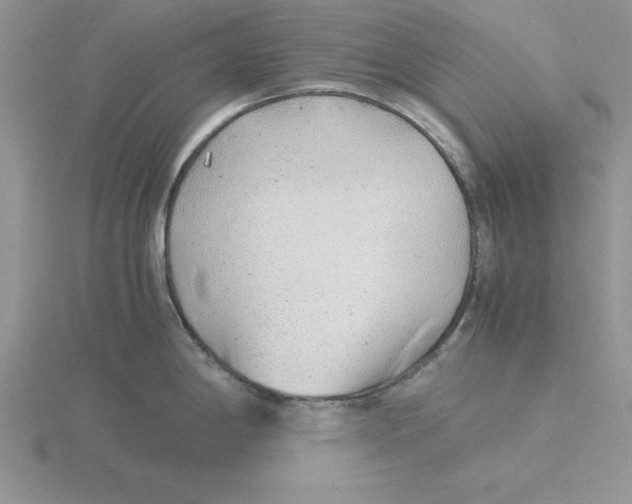 X0000115821198200912111244