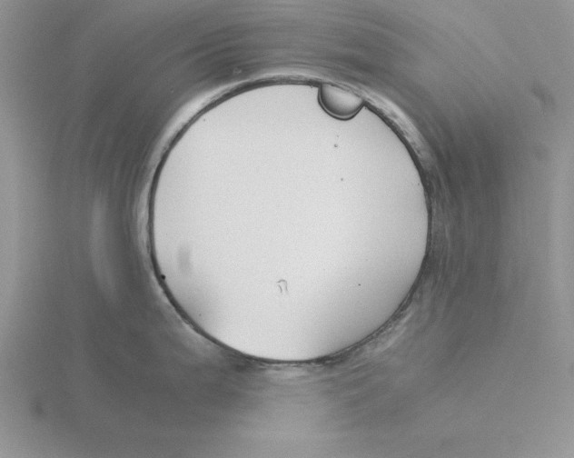 X0000115821199200912111244