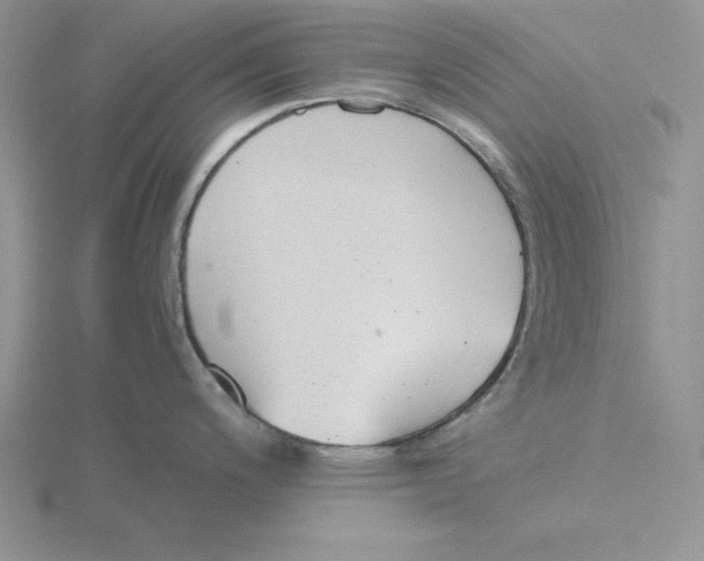 X0000115821200200912111244