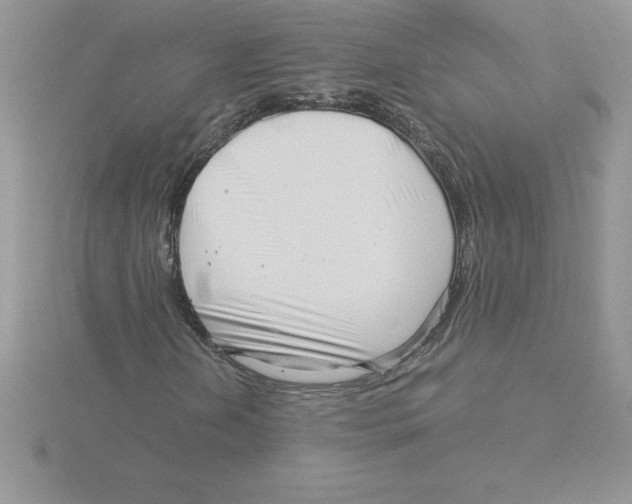 X0000115821202200912111244