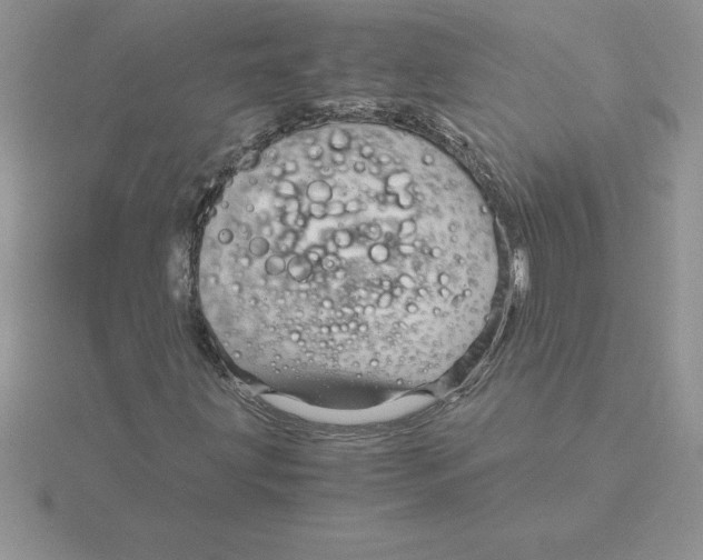 X0000115821203200912111244