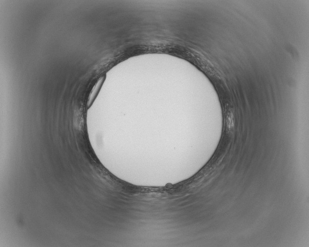 X0000115821204200912111244