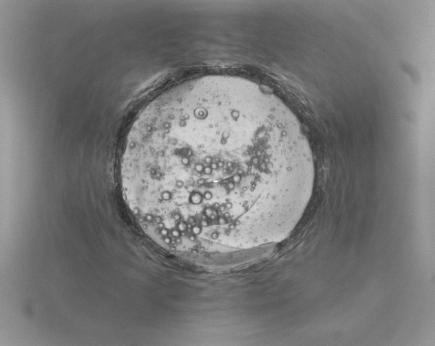 X0000115821205200912111244