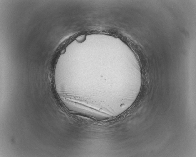 X0000115821206200912111244