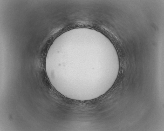 X0000115821207200912111244