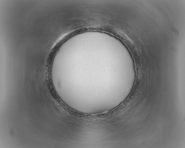 X0000115821208200912111244