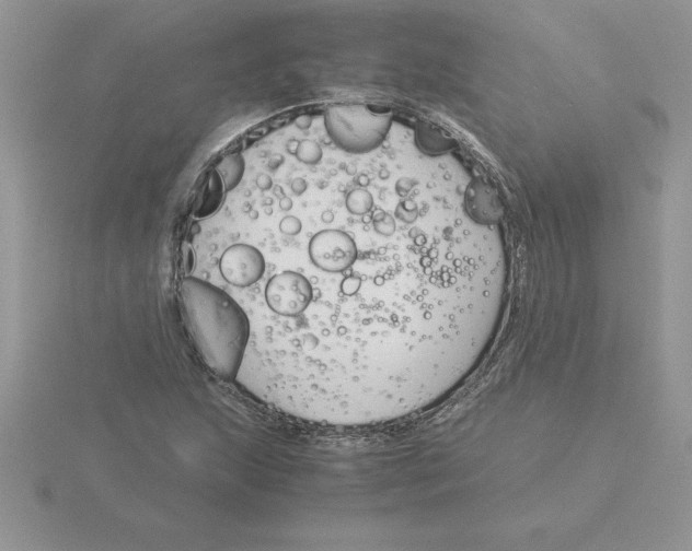 X0000115821215200912111244