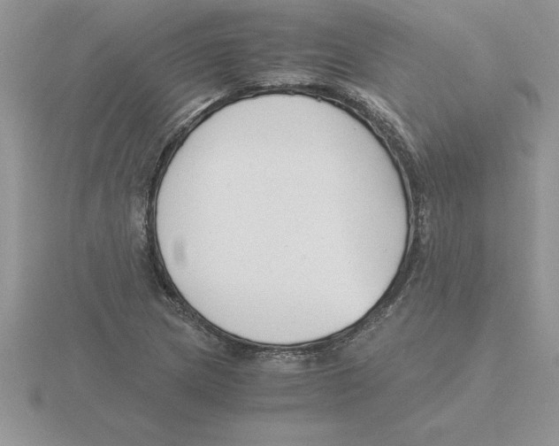 X0000115821217200912111244