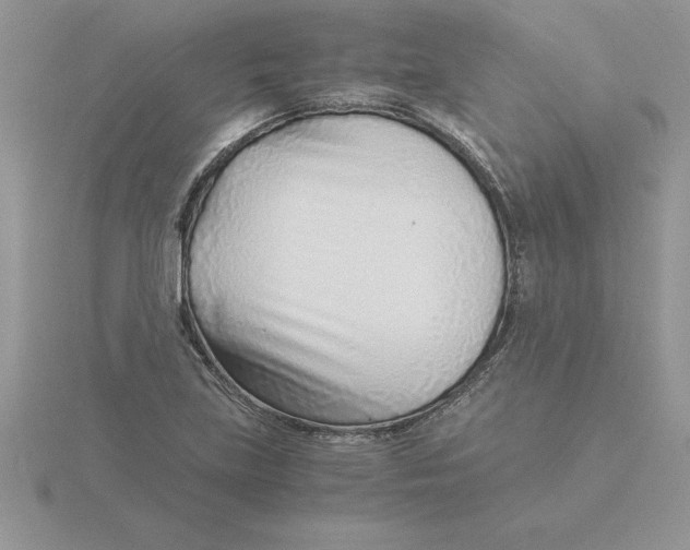 X0000115821219200912111244