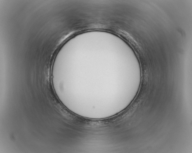 X0000115821220200912111244