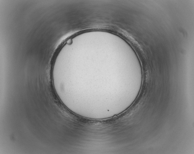 X0000115821222200912111244