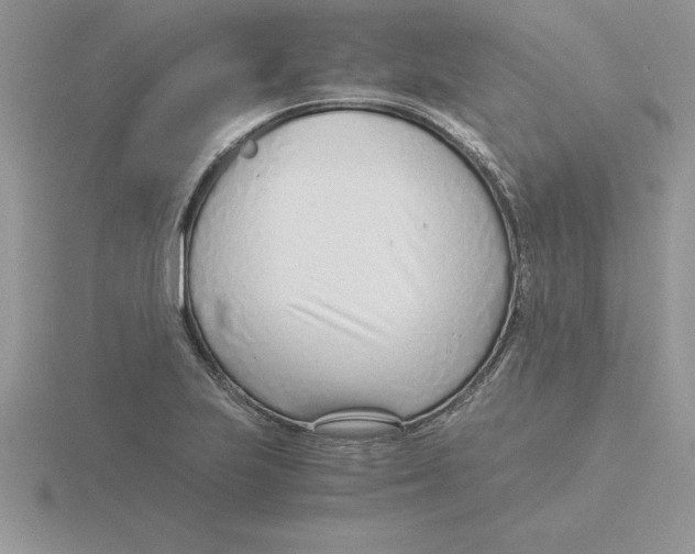 X0000115821223200912111244