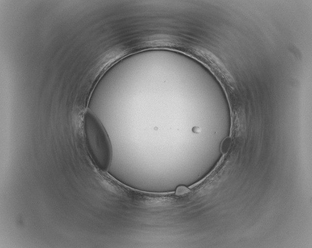 X0000115821225200912111244