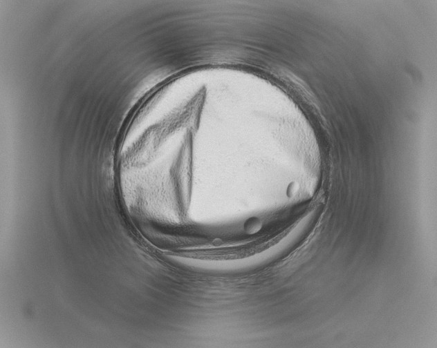 X0000115821226200912111244