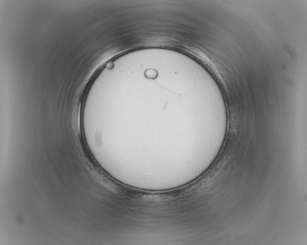 X0000115821227200912111244