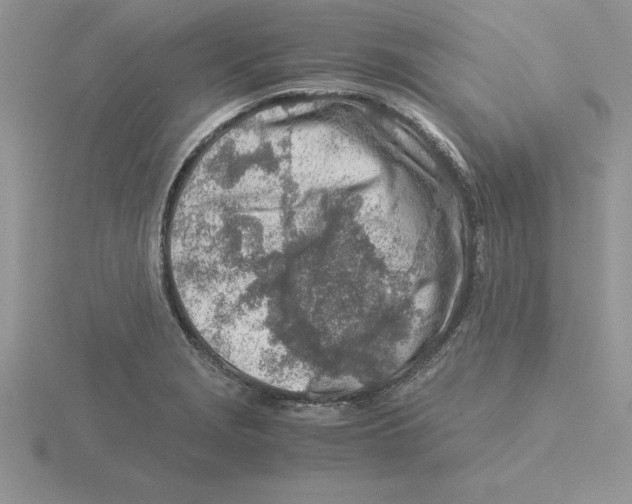 X0000115821229200912111244