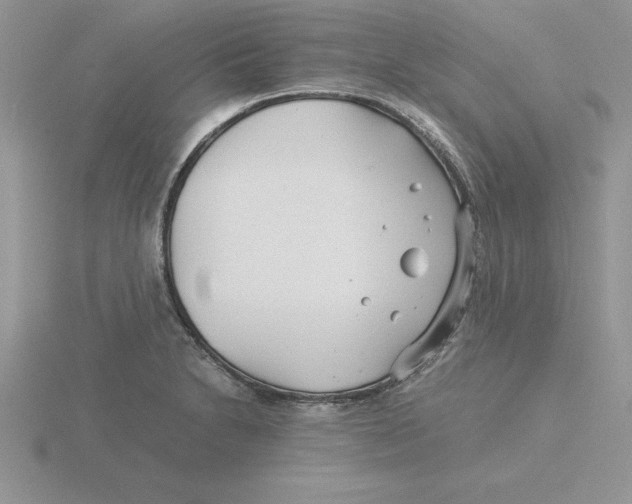 X0000115821230200912111244