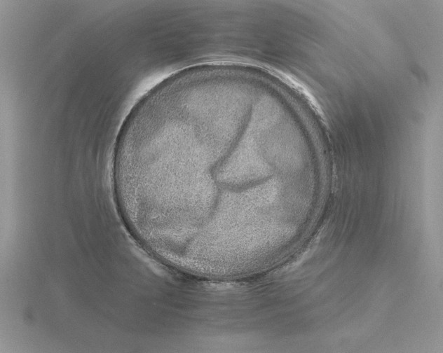 X0000115821231200912111244