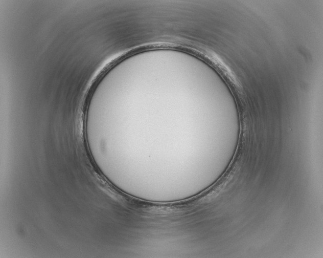 X0000115821232200912111244