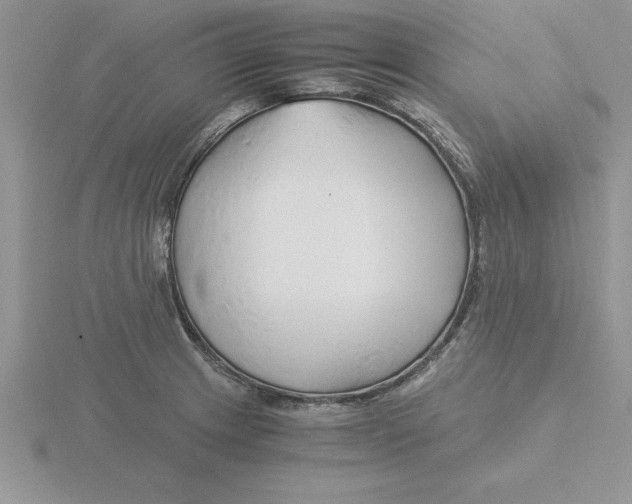 X0000115821233200912111244