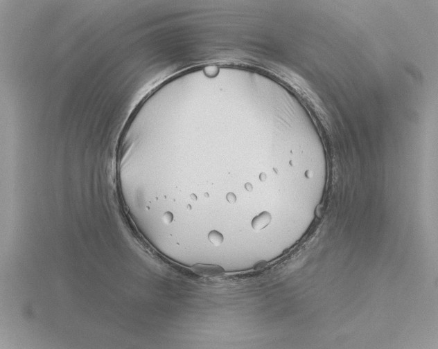 X0000115821234200912111244