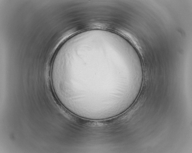 X0000115821235200912111244