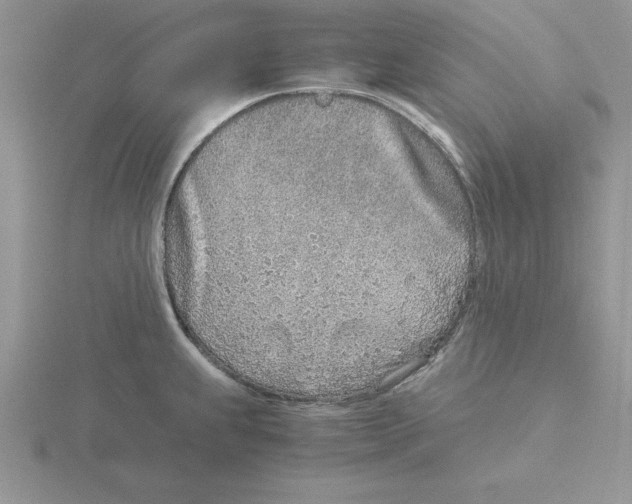 X0000115821239200912111244