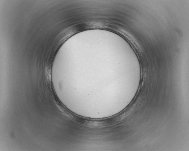 X0000115821241200912111244