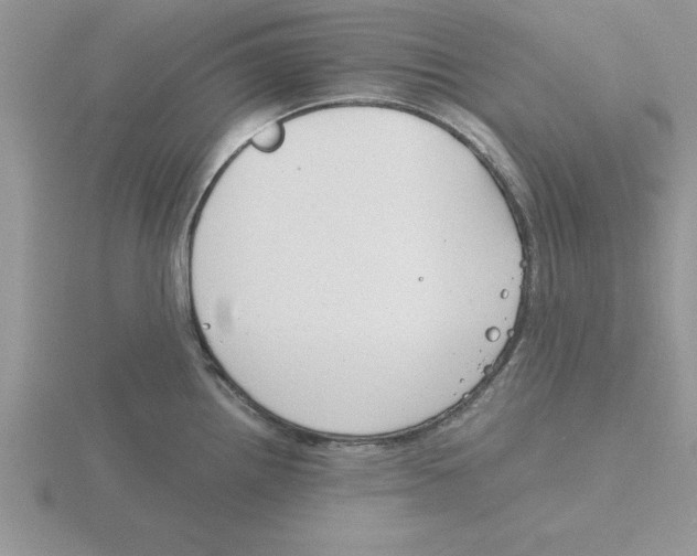 X0000115821242200912111244